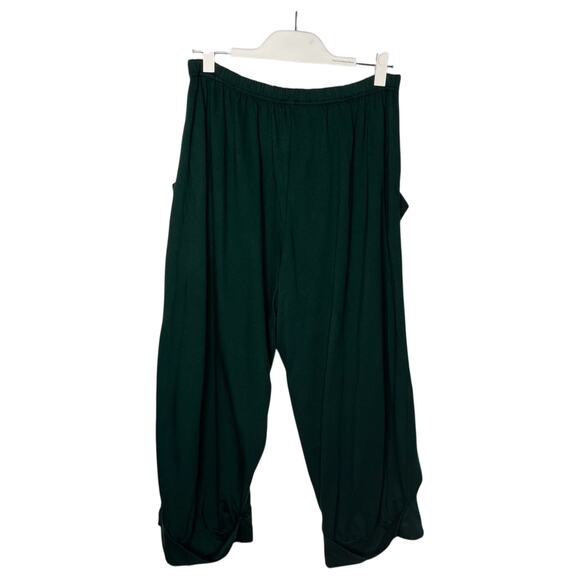 Cynthia Ashby Women's Pants Sz Large Baggie Cuff Green Lagenlook Urban Boho NWT - Picture 2 of 9